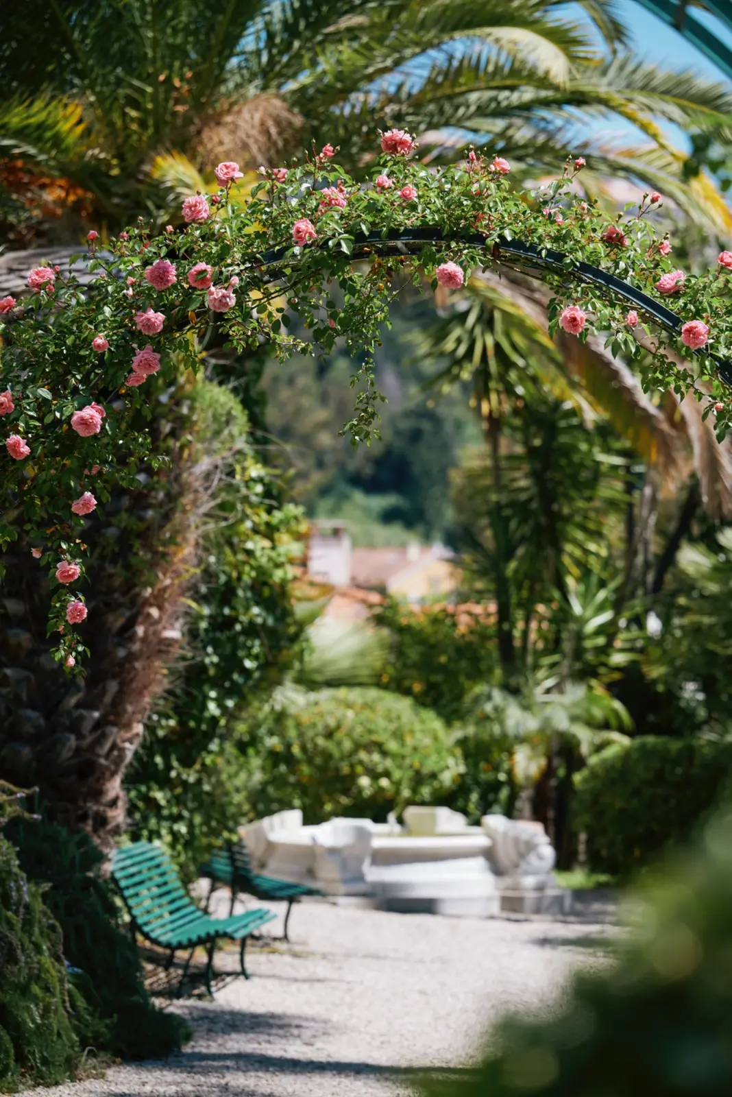 A shaded, flower-lined path in the Winter Palace’s private gardens