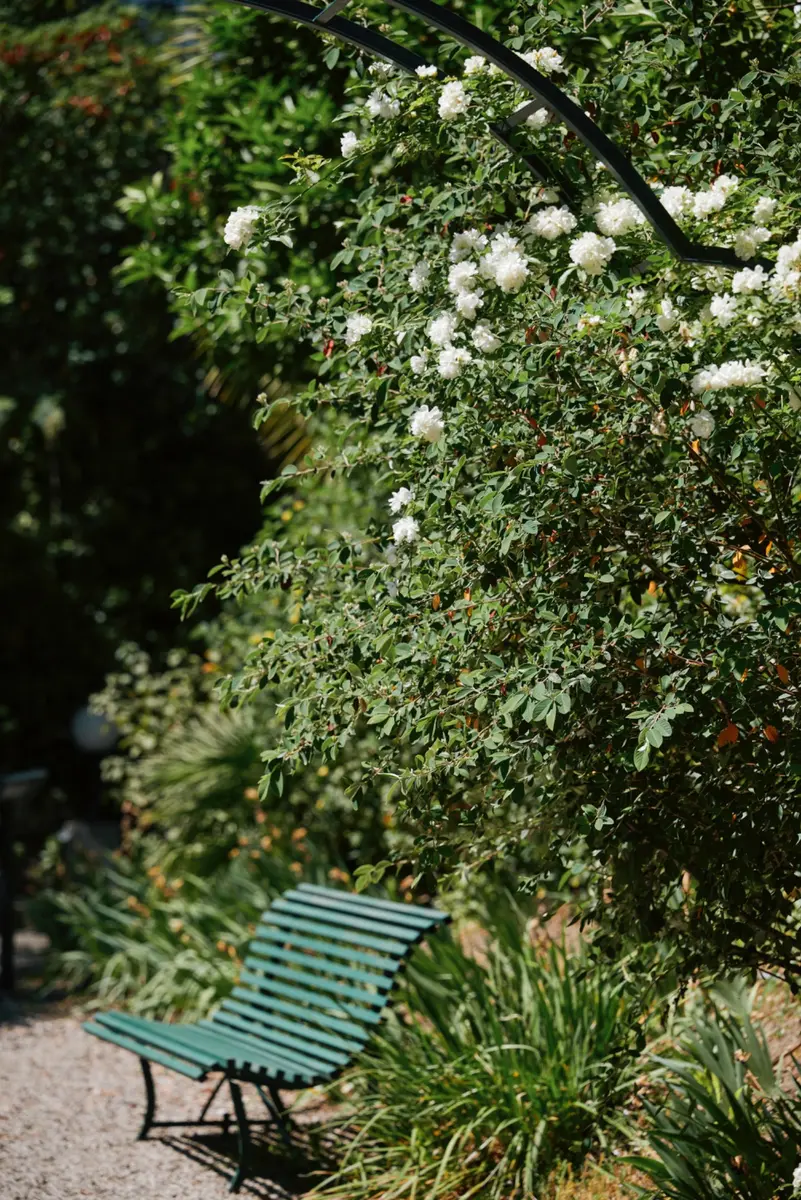 A green bench shaded by the garden’s foliage