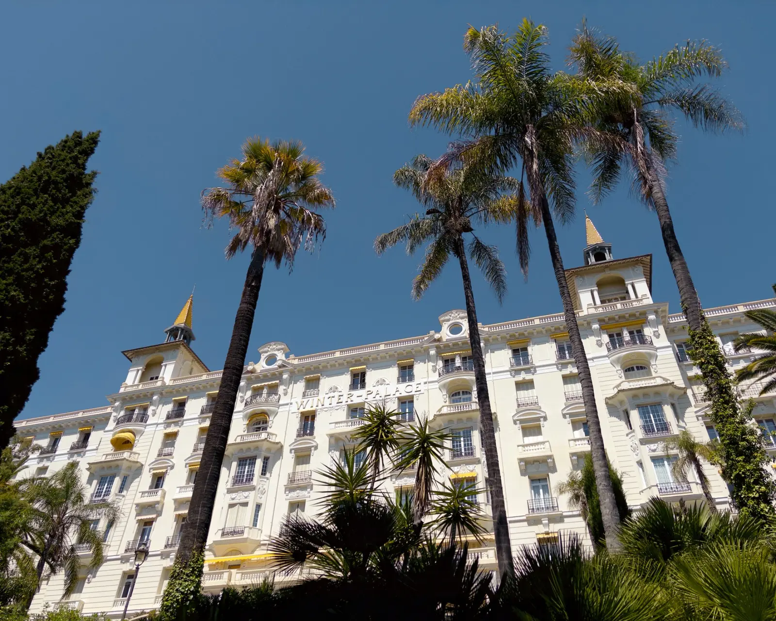 The Belle Époque façade of the Winter Palace framed by palm trees
